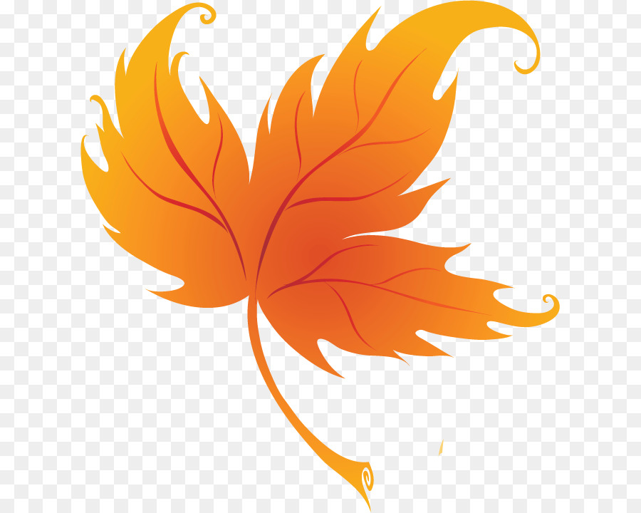 Feuille D'oranger，Automne PNG