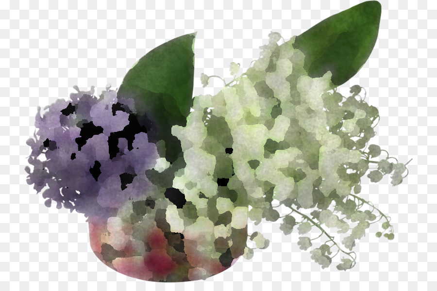 Fleurs Violettes，Fleurs PNG