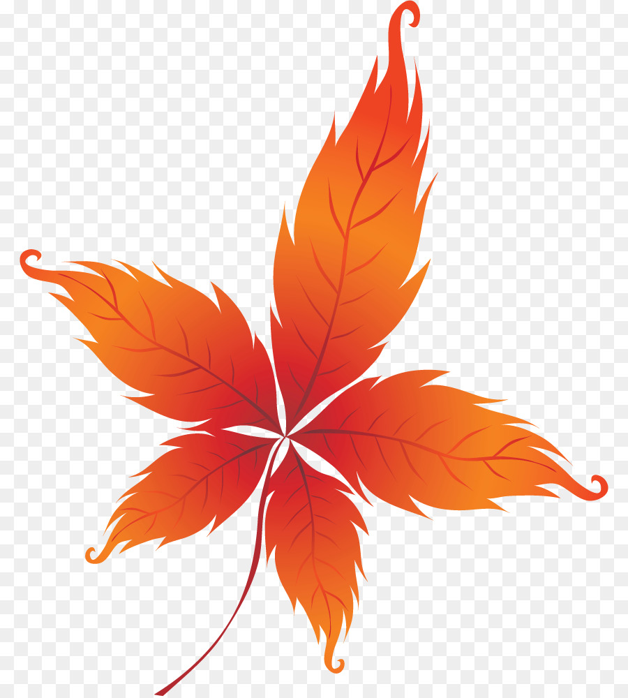 Feuille D'oranger，Automne PNG