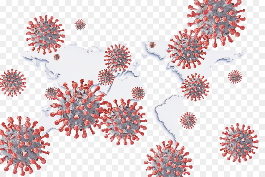Corona Virus，Système Immunitaire PNG
