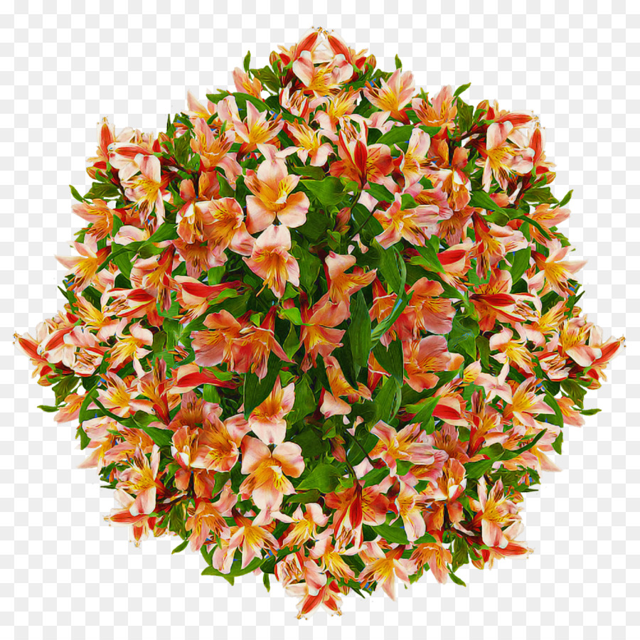 Fleurs Oranges，Feuilles Vertes PNG