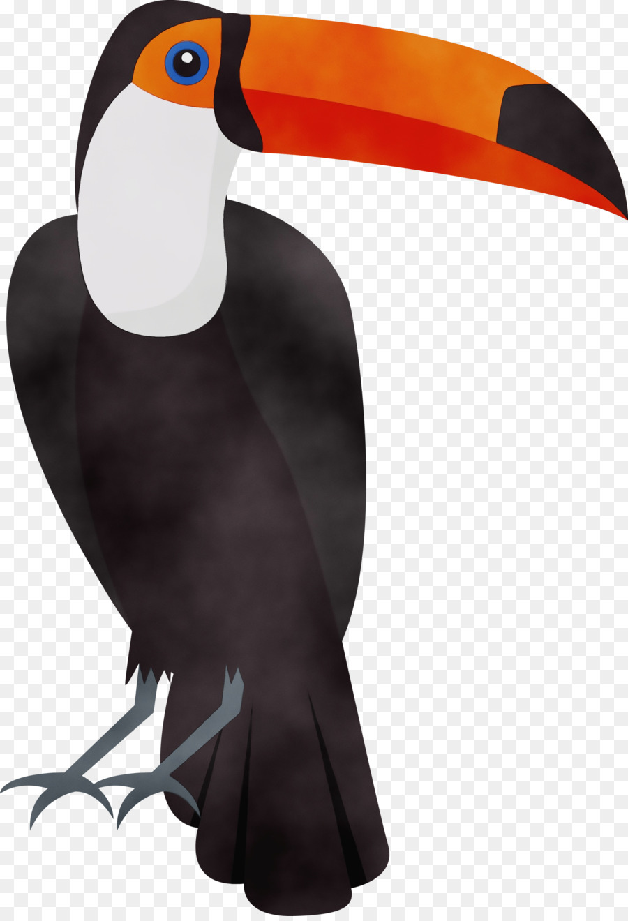 Vautour，Ailes PNG