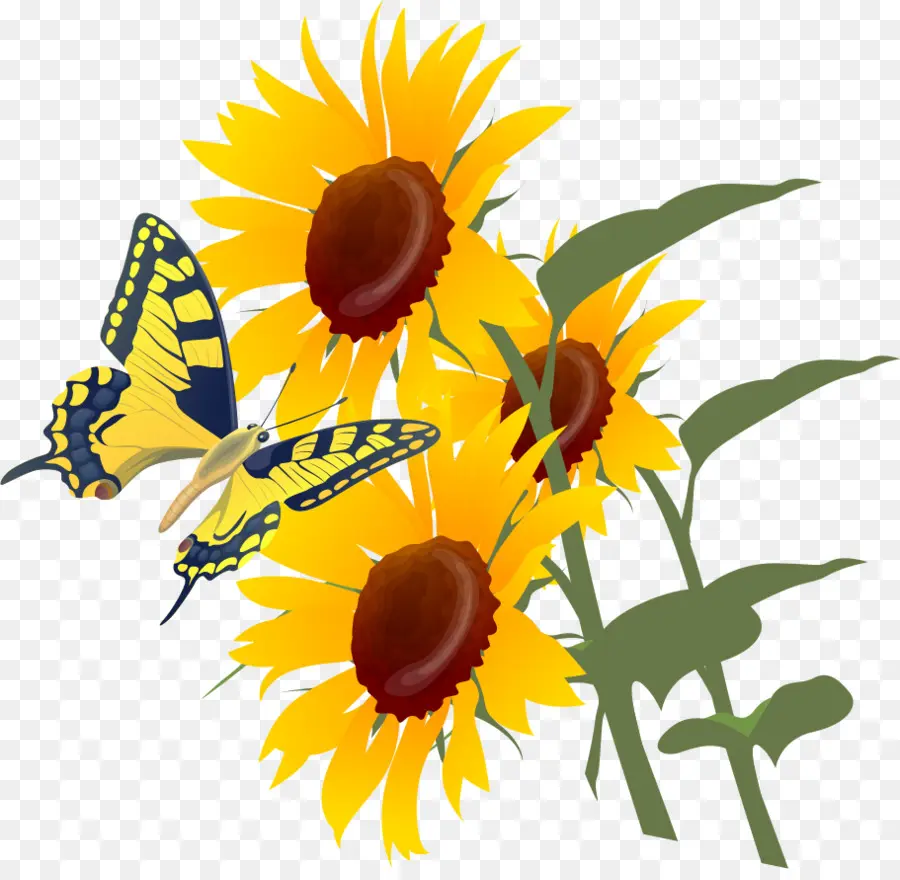 Tournesols，Papillon PNG