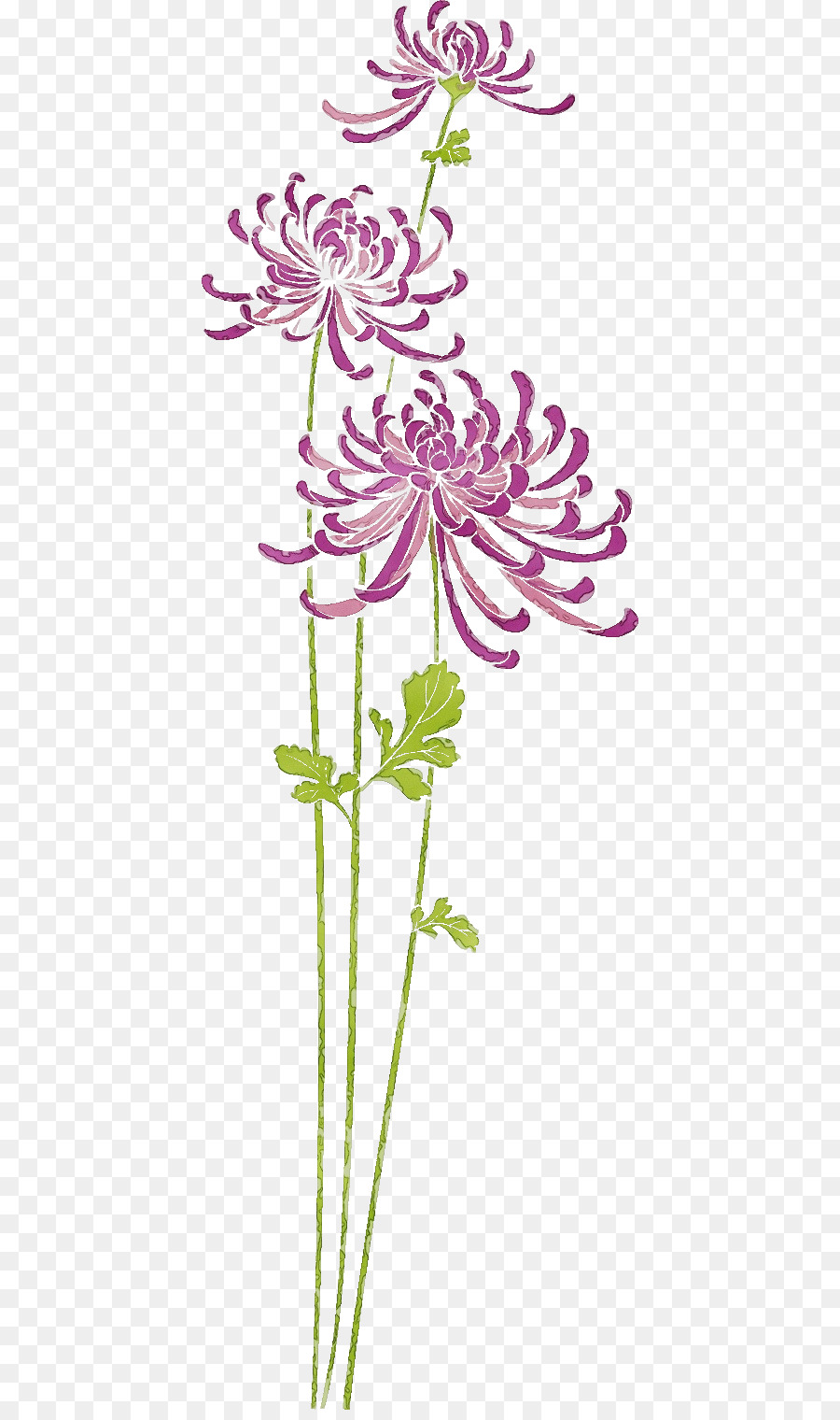 Fleurs Violettes，Fleurir PNG