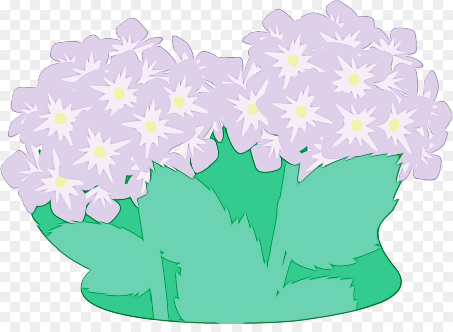 Design Floral，Feuille PNG