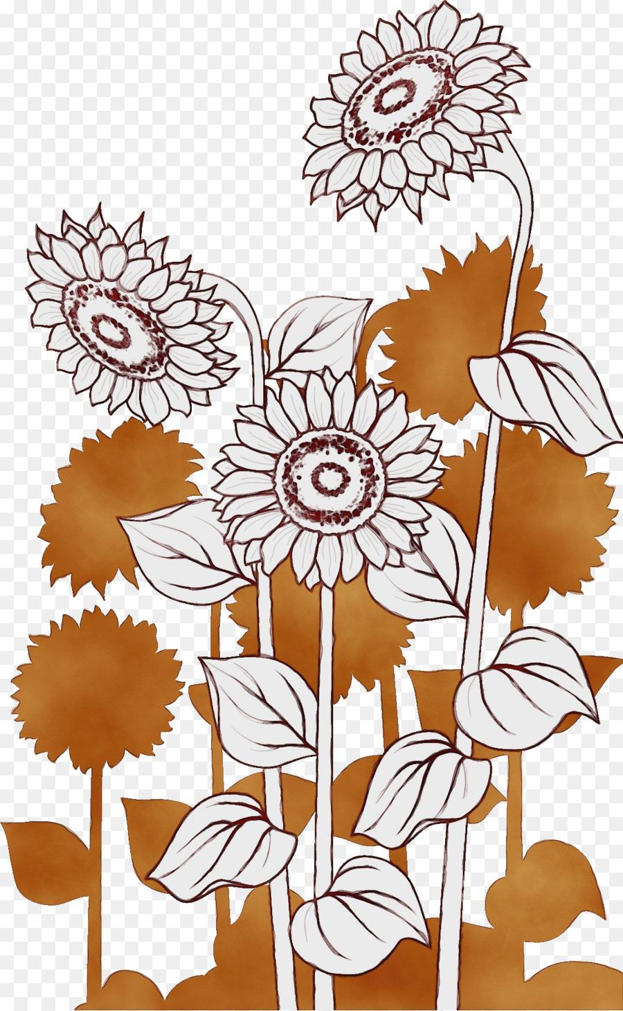 Design Floral，Arts Visuels PNG