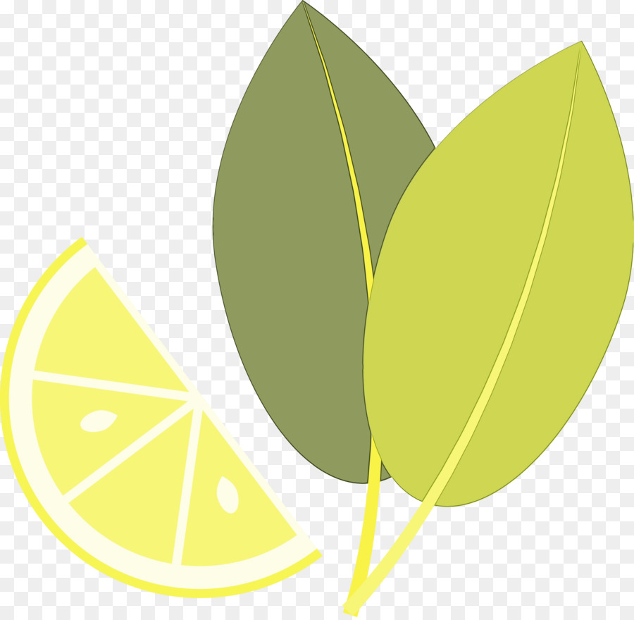 Tranche De Citron，Agrumes PNG