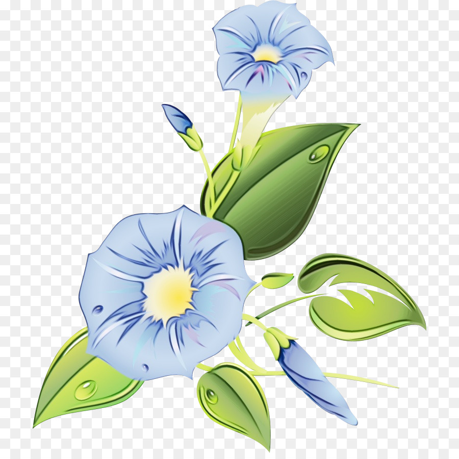 Fleurs，Floraison PNG