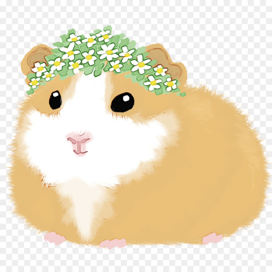 Hamster，Les Moustaches PNG