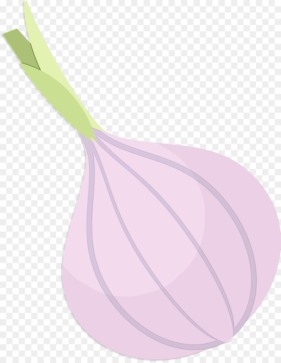 Feuille，Violet PNG