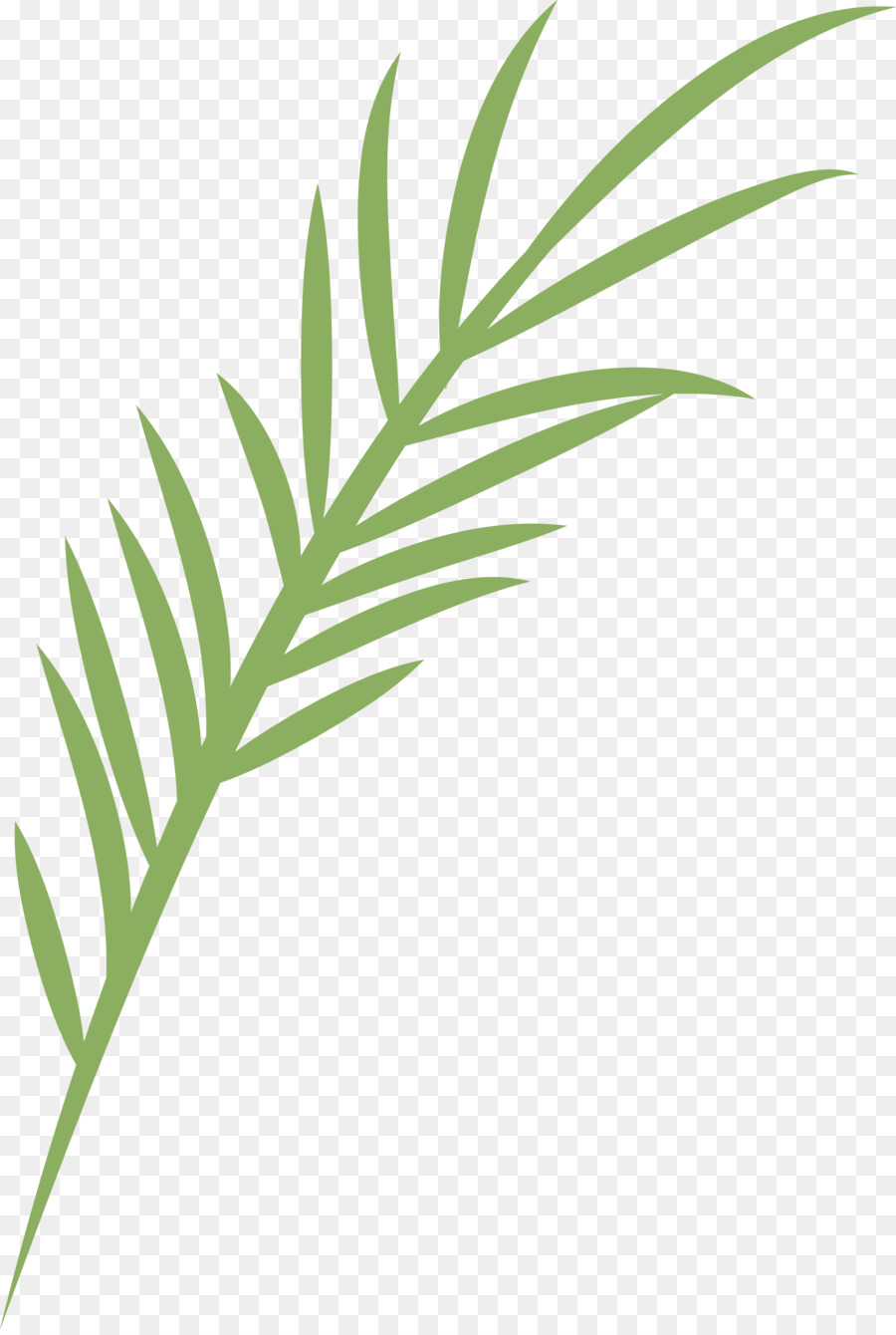 Feuille，Vert PNG