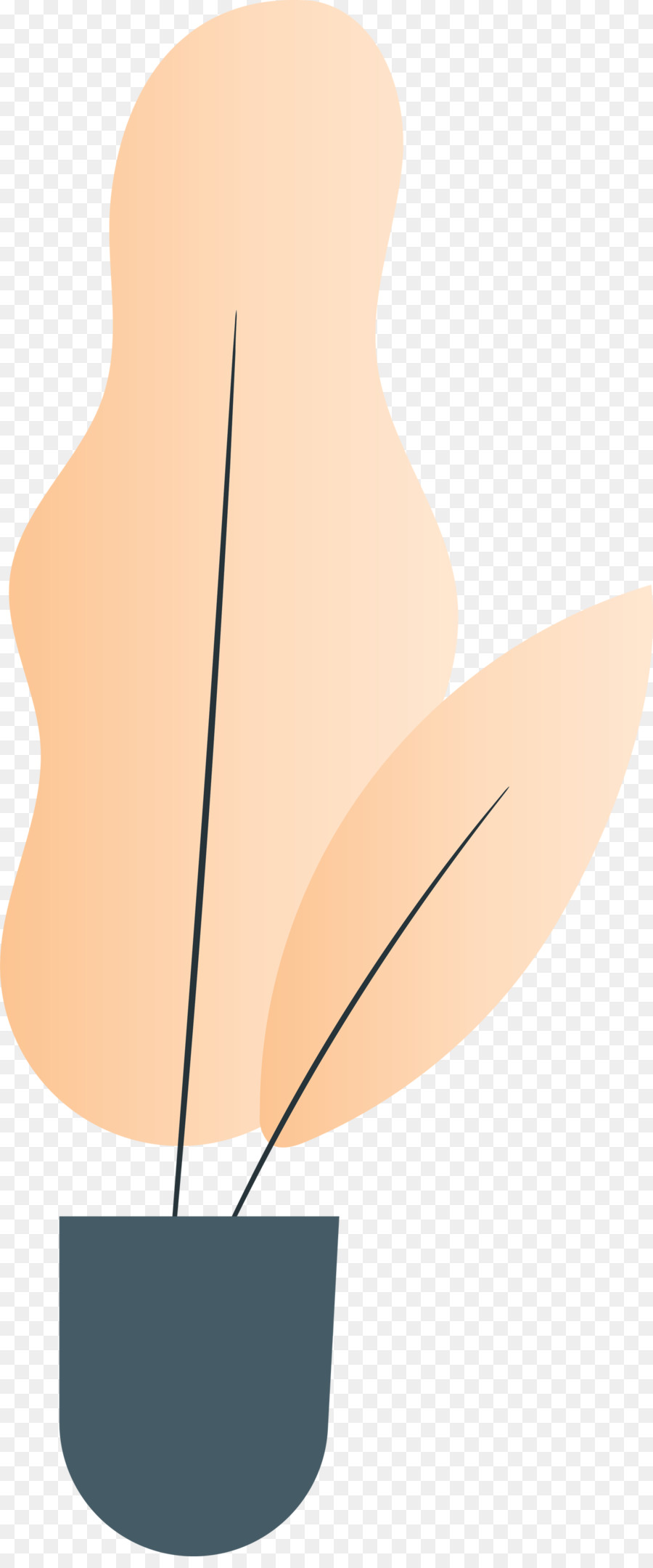 Angle，Ligne PNG