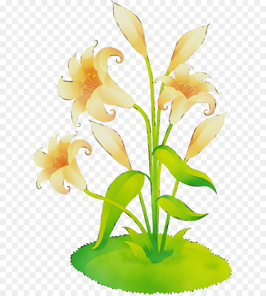 Design Floral，Tige De La Plante PNG