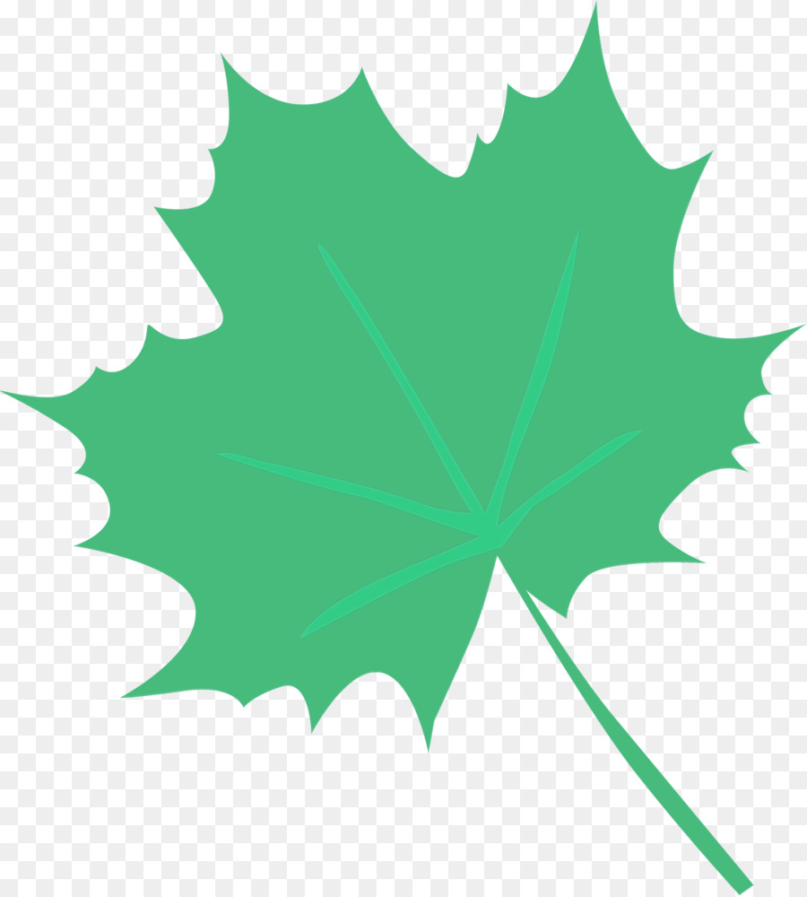 Feuille Verte，Feuille PNG