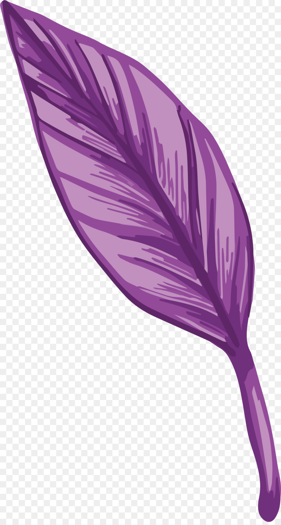 Plume Rose，Doux PNG