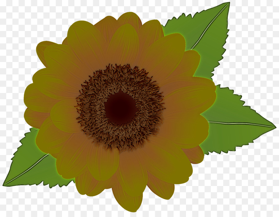 Fleur，Fleurir PNG