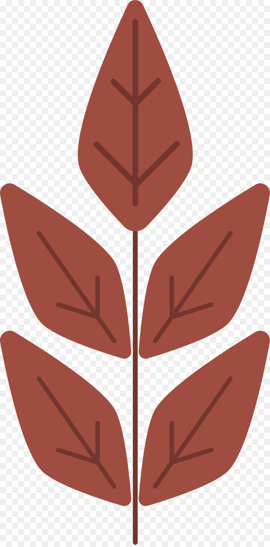 Feuille D'oranger，Usine PNG