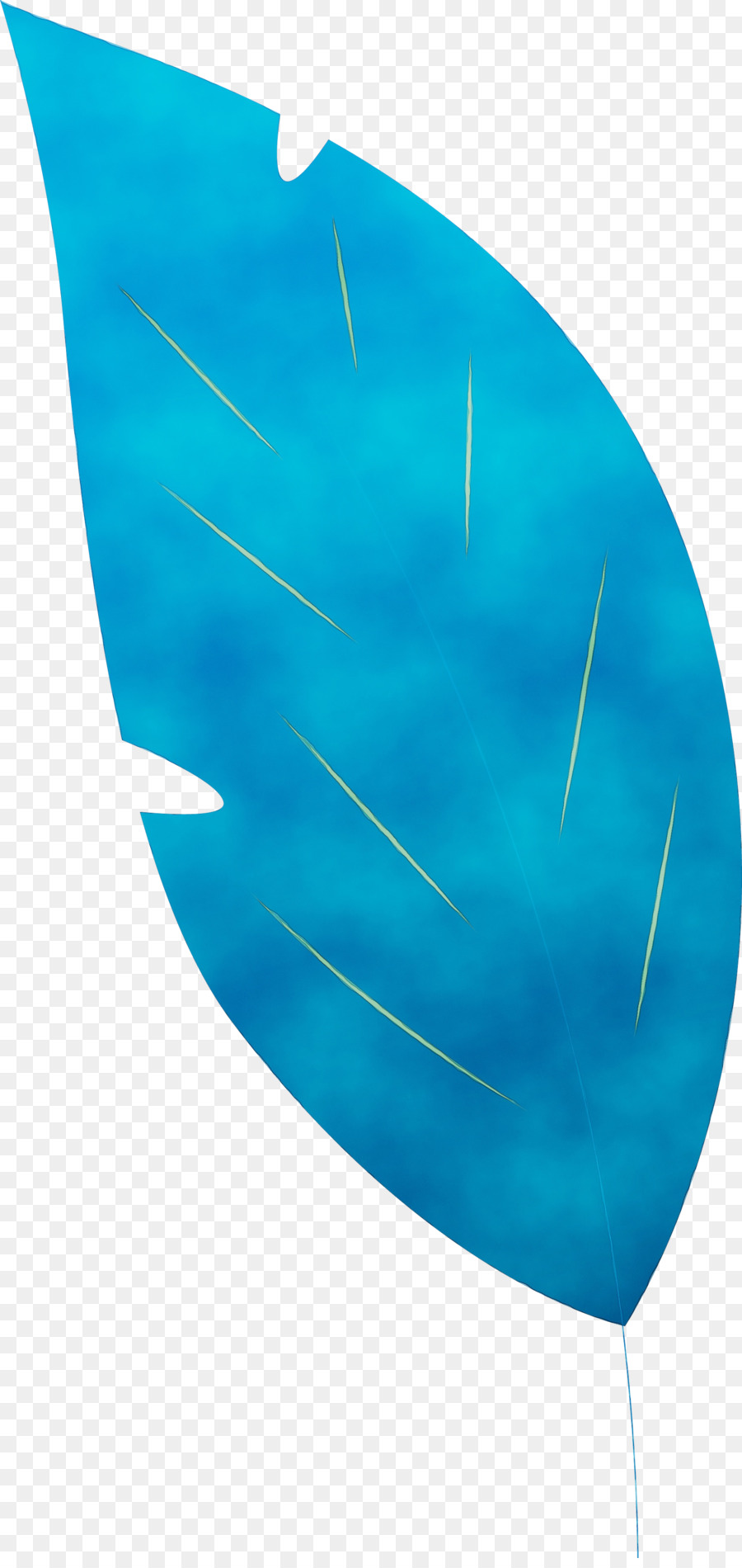 Feuille Bleue，Nature PNG