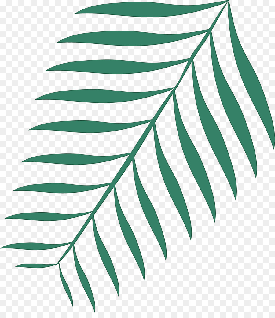 Feuille，Nature PNG