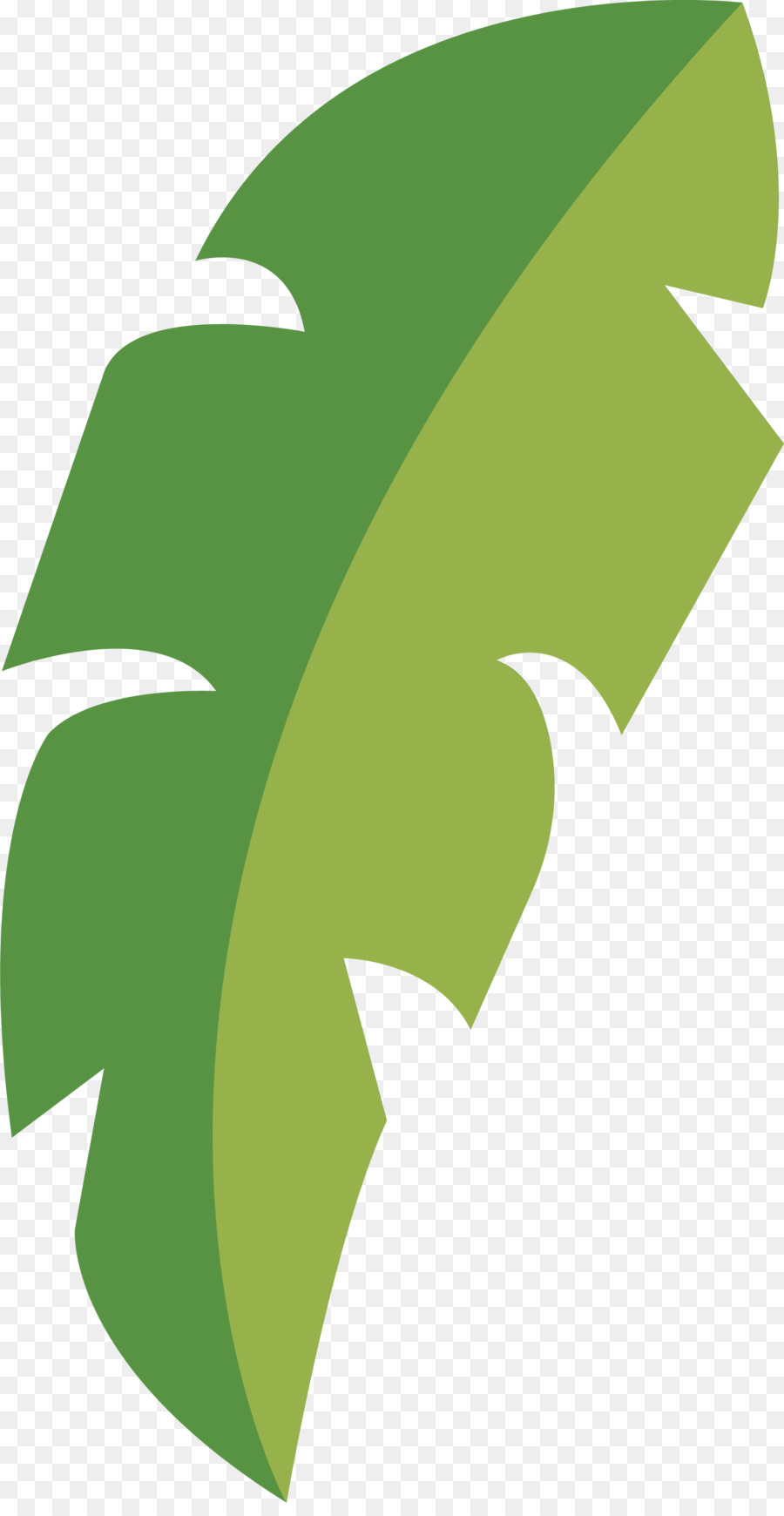 Feuille Verte，Usine PNG