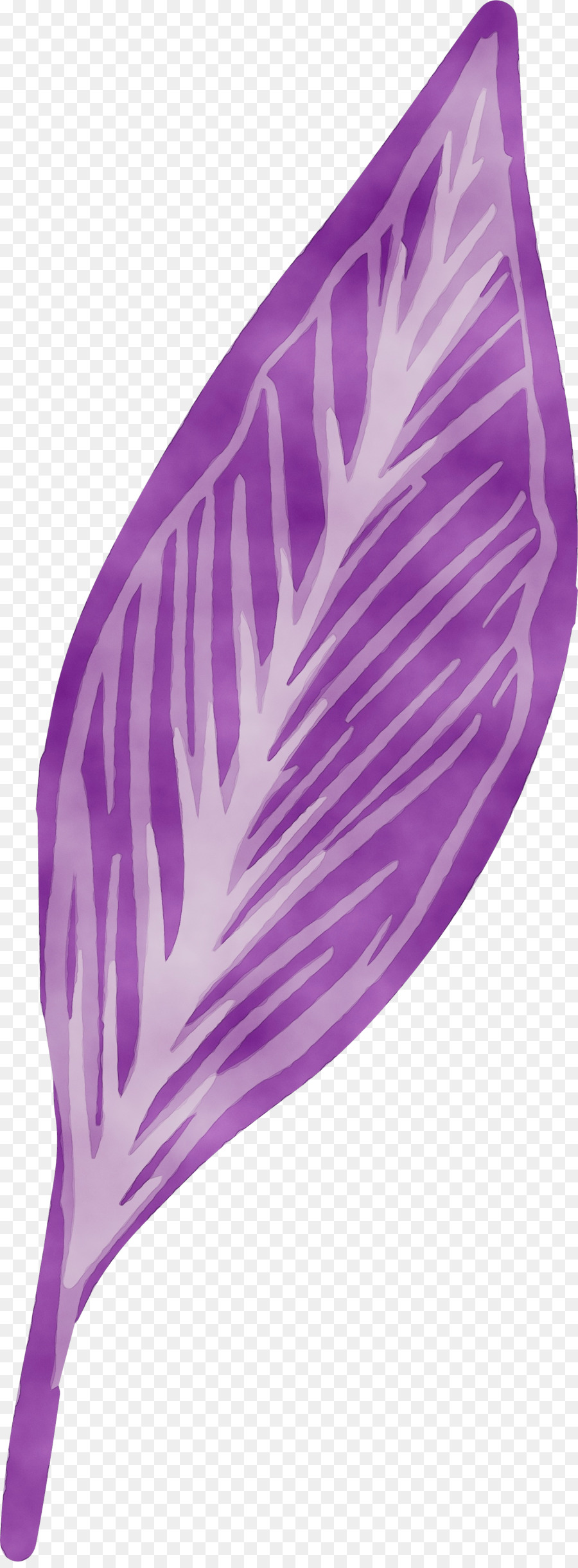 Violet， PNG