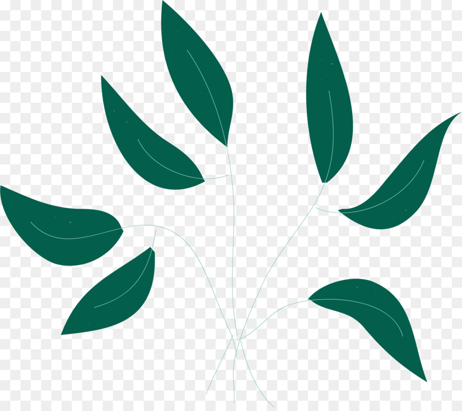 Feuilles，Vert PNG