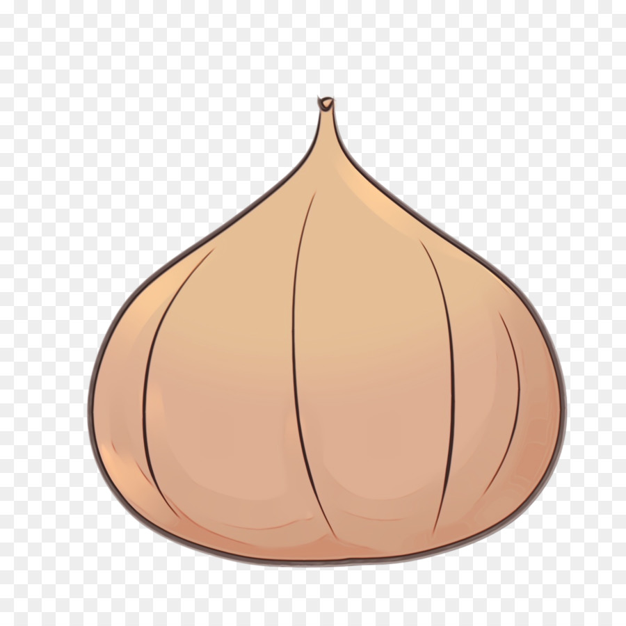 Ail，Ampoule PNG