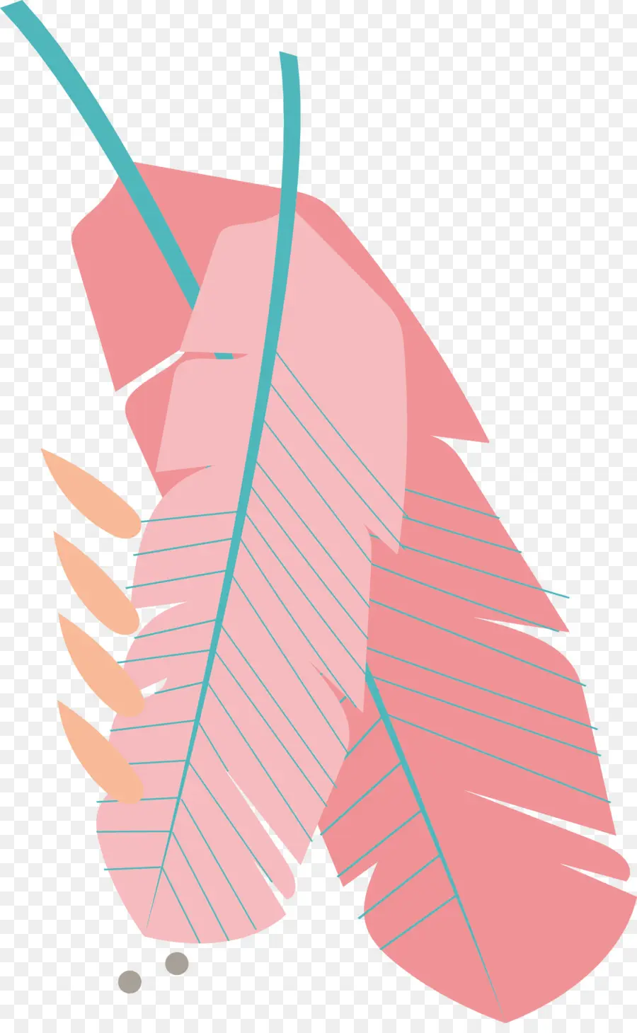 Angle，Feuille PNG