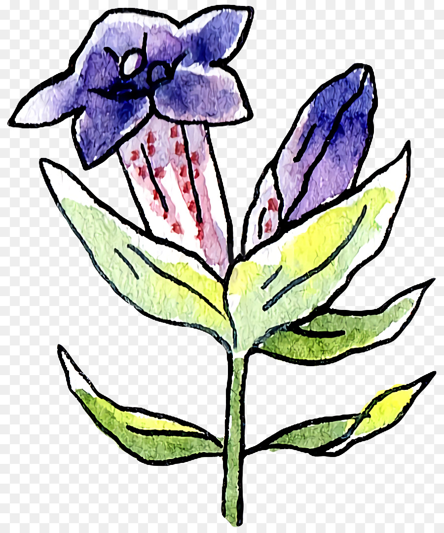 Design Floral，Tige De La Plante PNG