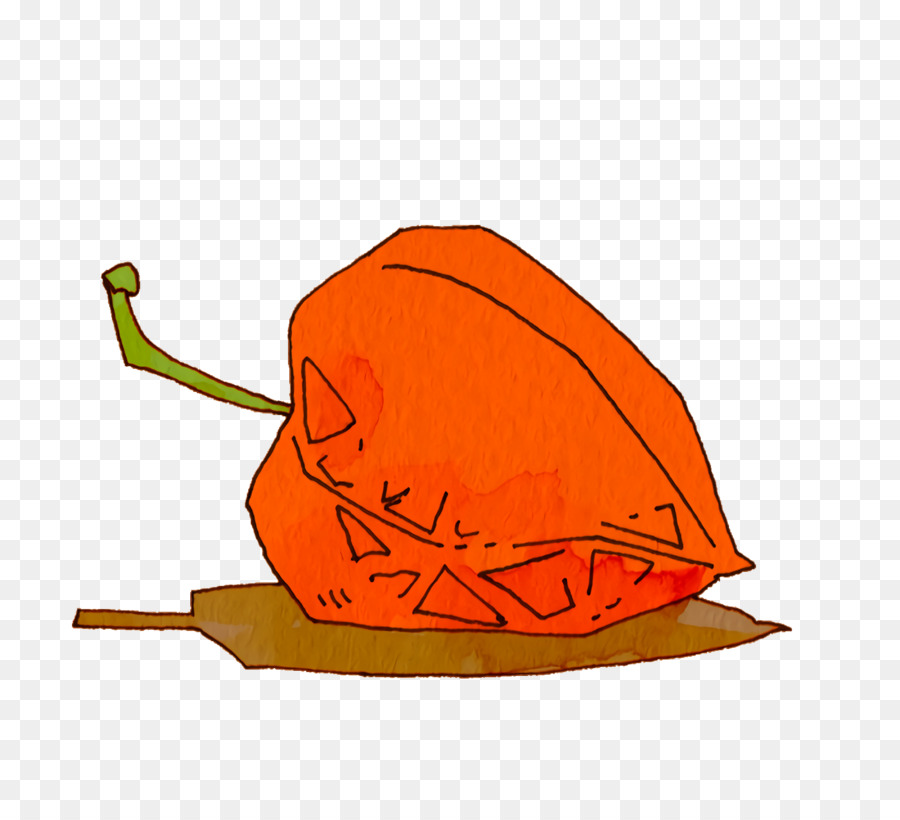 Chapeau，Citrouille PNG