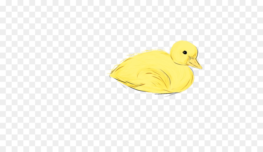 Canard，Jaune PNG