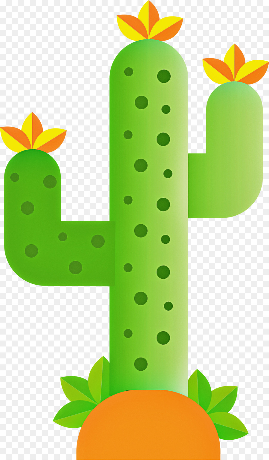 Cactus，Tige De La Plante PNG
