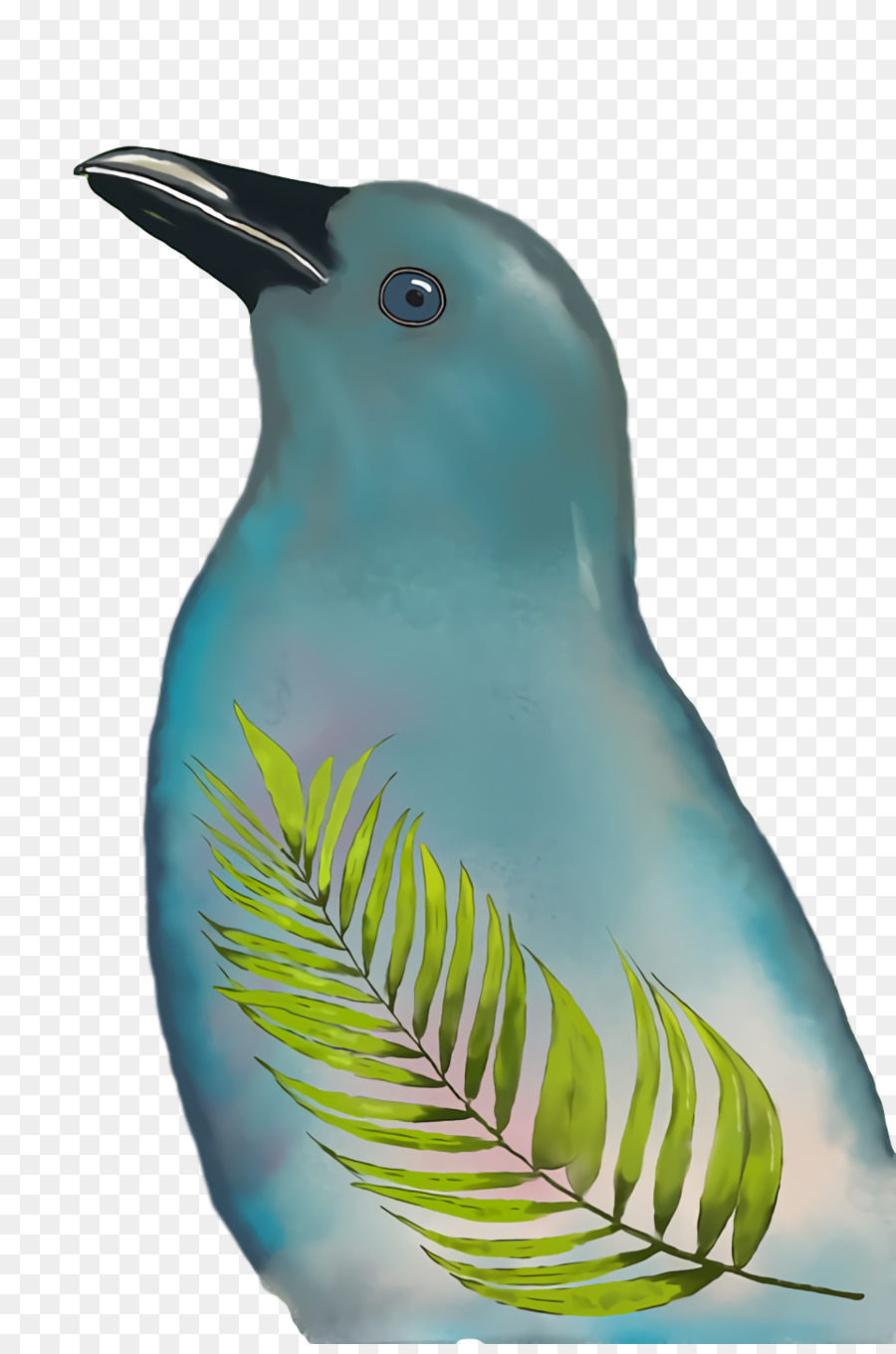 Bec，Turquoise PNG