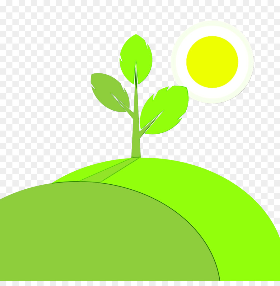 Tige De La Plante，Feuille PNG