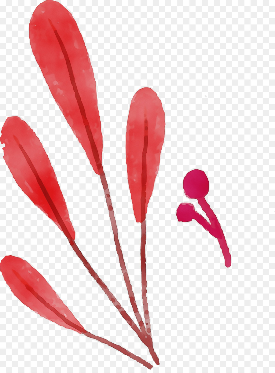 Feuilles Rouges，Usine PNG