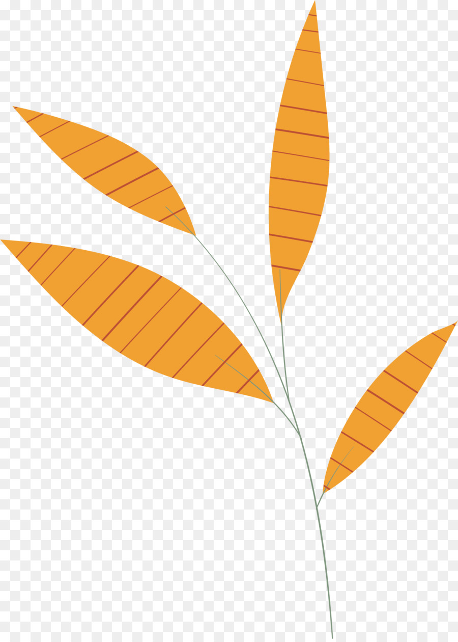 Feuille，Usine PNG