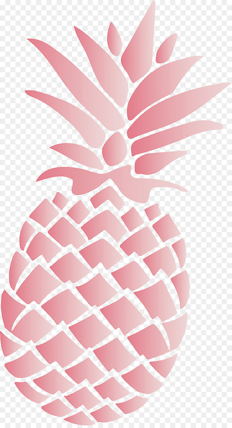 Ananas Rose，Tropical PNG