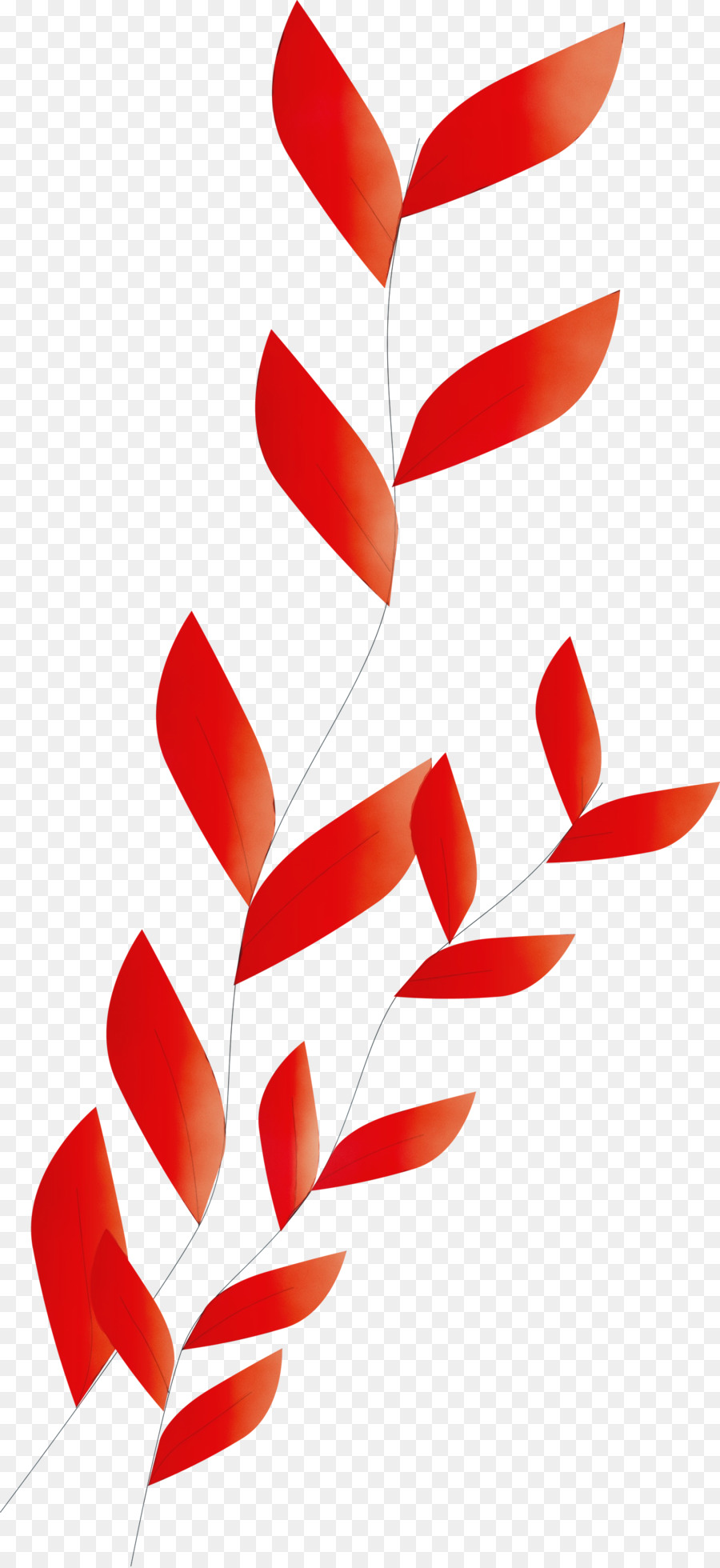 Feuille，Ligne PNG