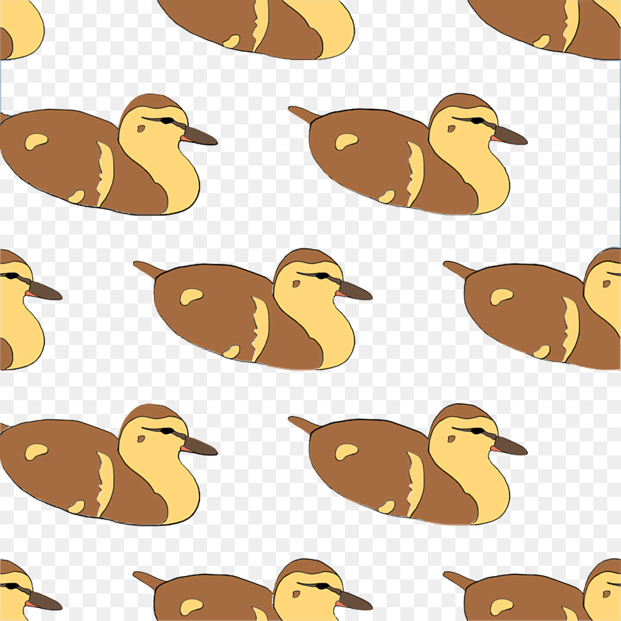 Canard，Sauvagine PNG