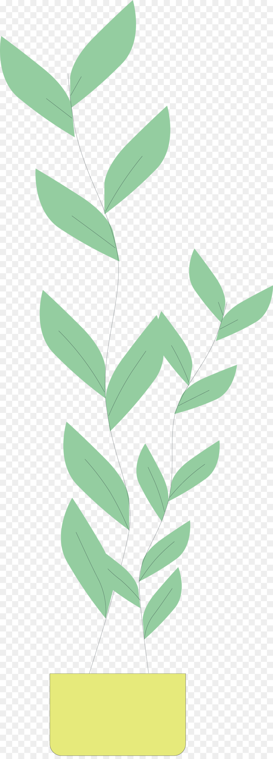 Coruripe，Feuille PNG