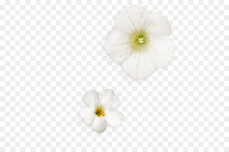 Fleur Blanche，Fleurir PNG