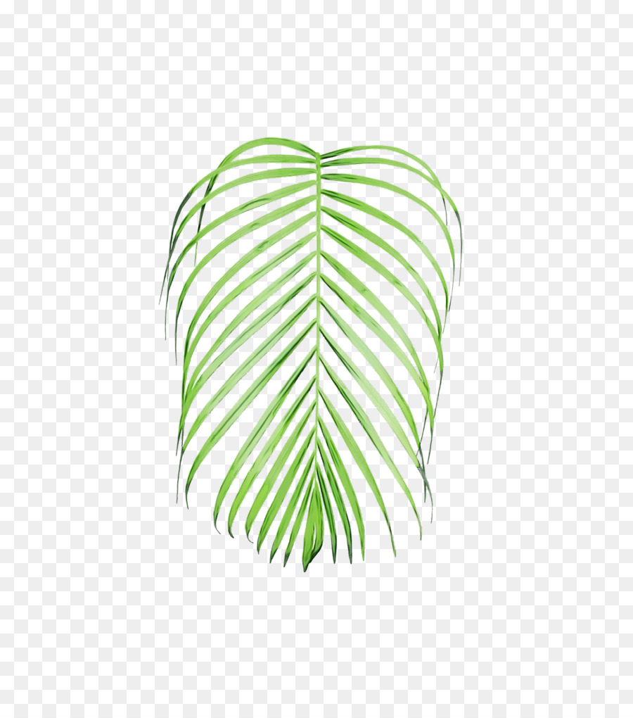 Feuilles De Palmier，Vert PNG