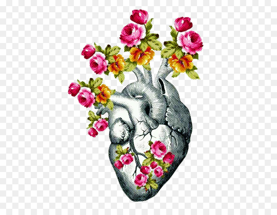 Coeur Avec Des Fleurs，Anatomie PNG