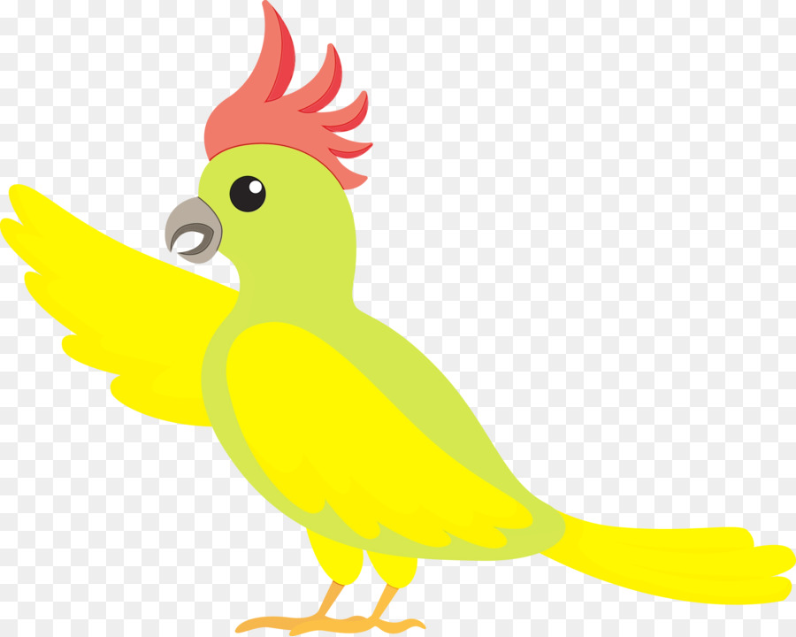 Oiseau，Plumes PNG