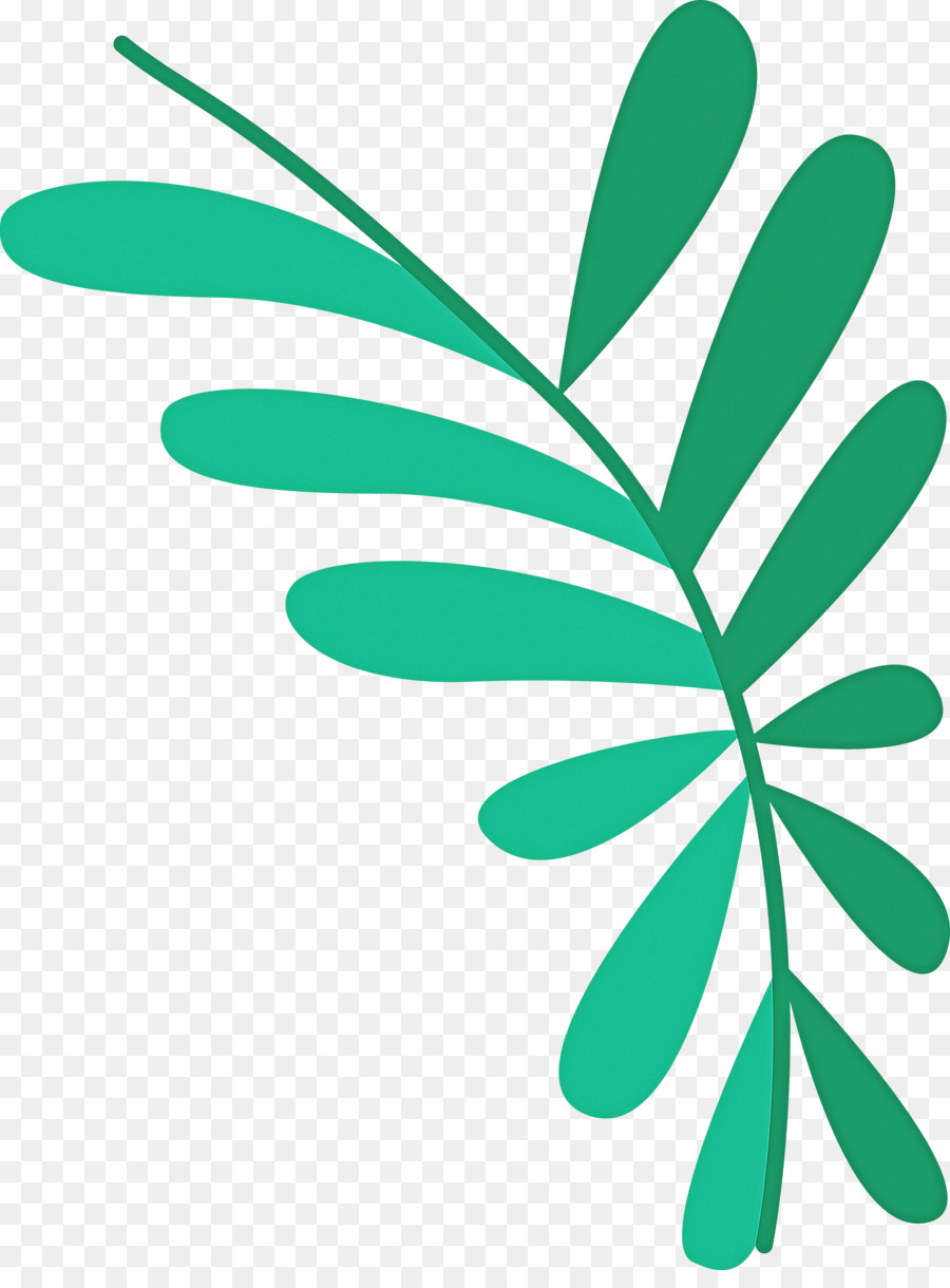 Feuille，Tige De La Plante PNG