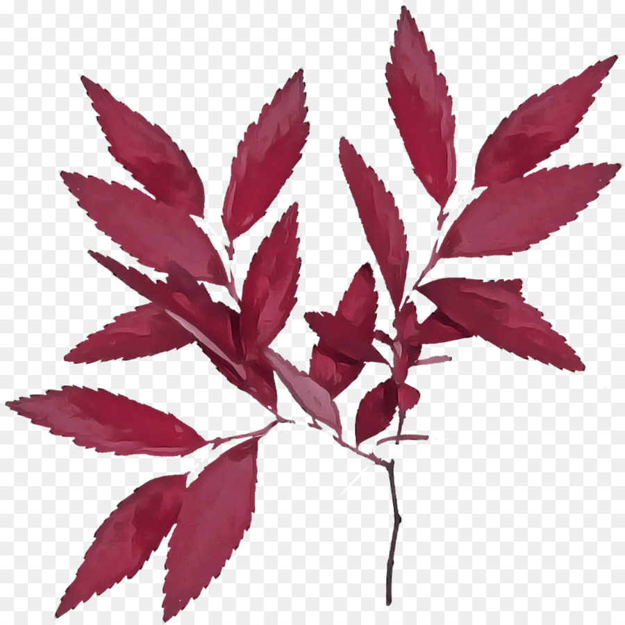 Feuilles Rouges，Automne PNG