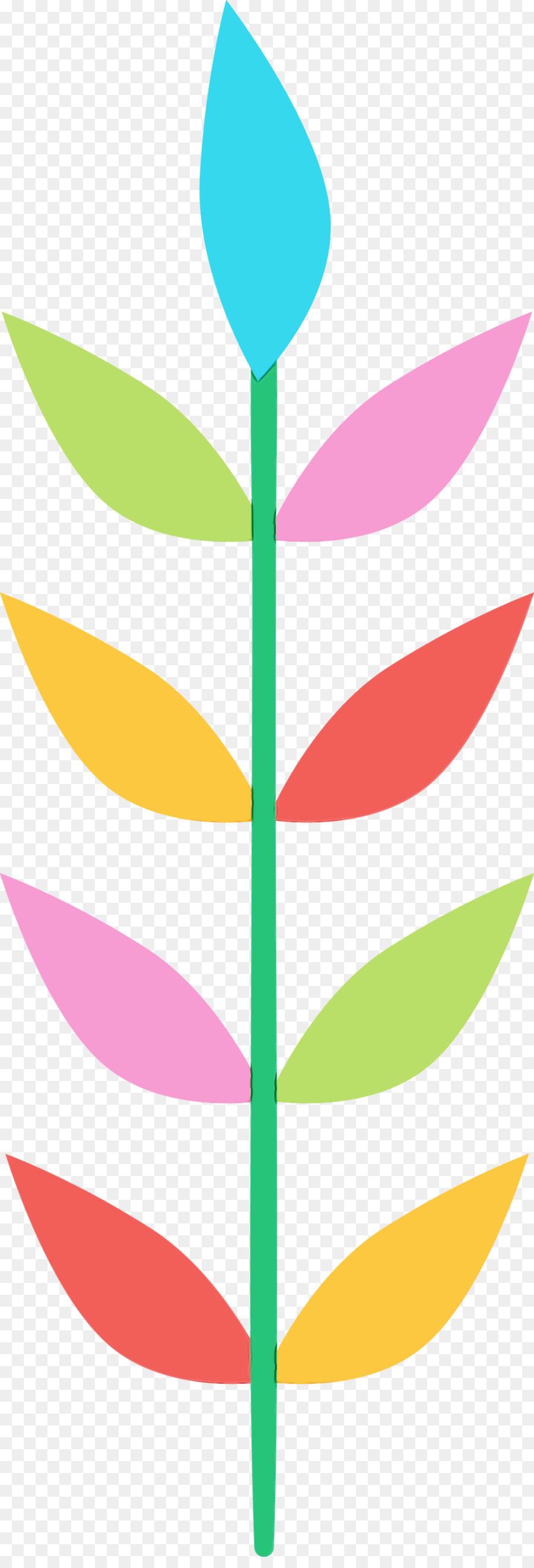 Feuilles Colorées，Tige PNG