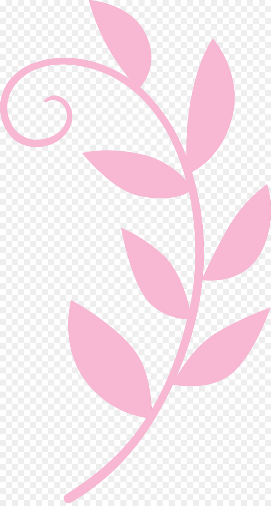 Feuille Violette，Usine PNG