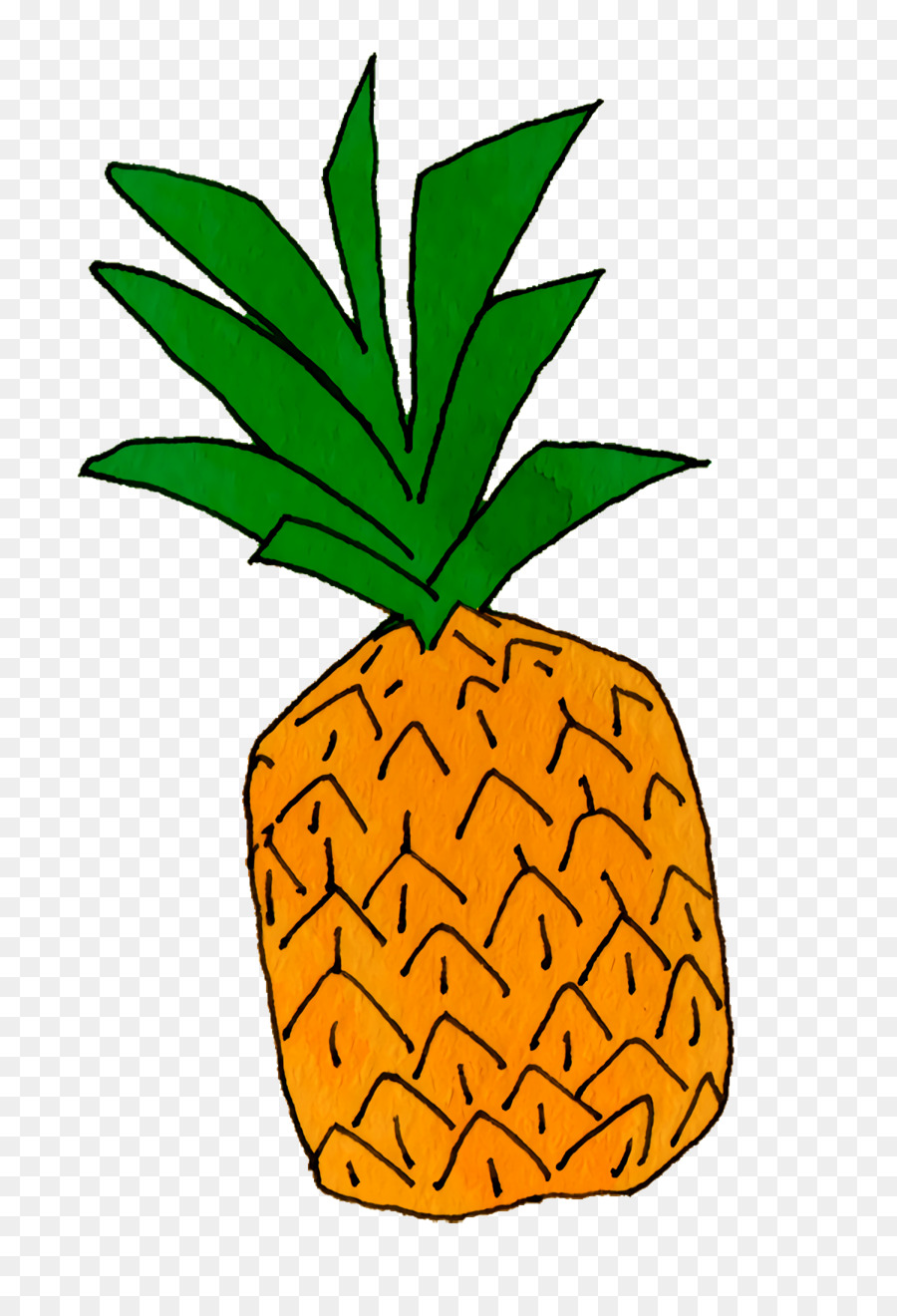 Ananas，Tropical PNG