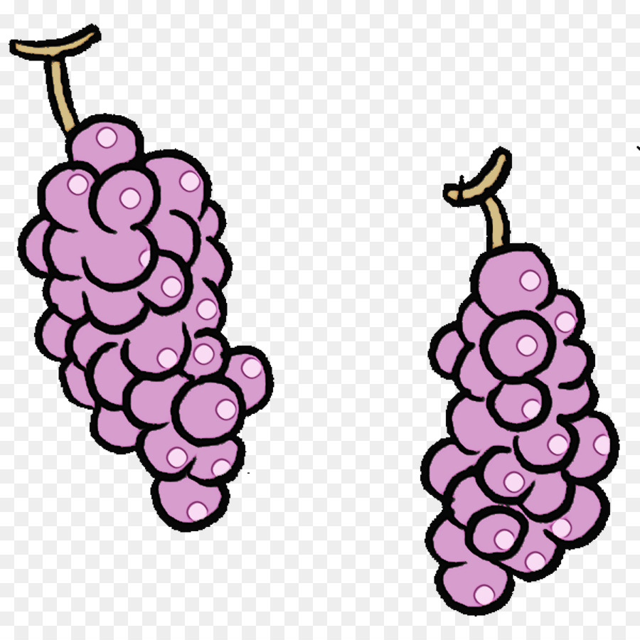 Raisins，Vigne PNG